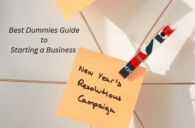 Dummies Guide to Starting a Business in 2024